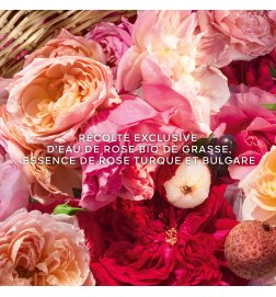 Aqua Allegoria Harvest - Rosa Rossa - Eau de Toilette Aqua Allegoria Harvest - Rosa Rossa - Eau de Toilette